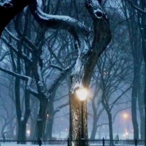 Snow in NY