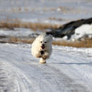 Wait for me!!