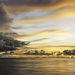 Brewing Storm