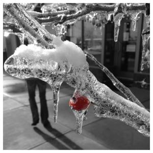 Frozen Cherry
