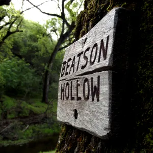 Beatson Hollow