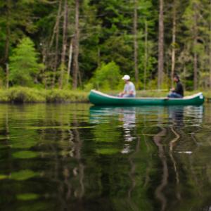 Still Waters