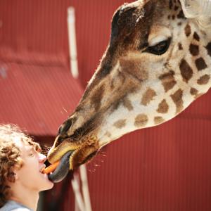 First Kiss