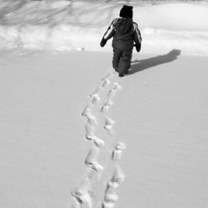 Footprints in the Snow