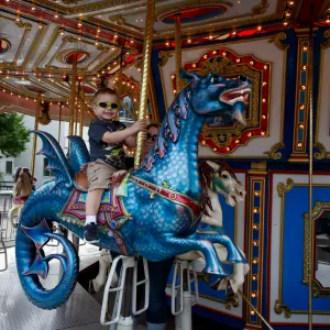 The Carousel
