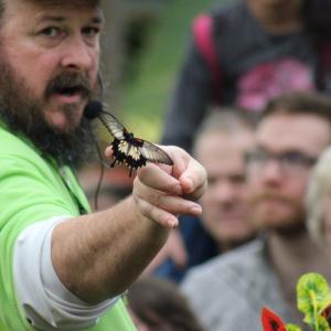 Butterfly release