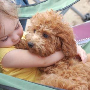 Puppy Love