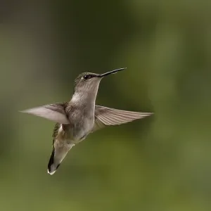 Holding Pattern