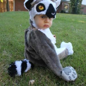 Wild for Wildlife Winner