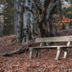 Hikers Rest