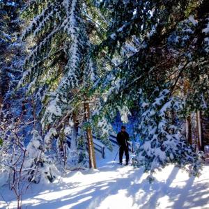 Snowshoeing on PEI