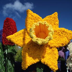 Dutch Flowerparade