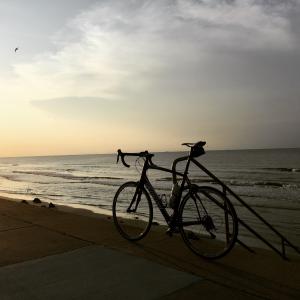 Morning on Galveston Island