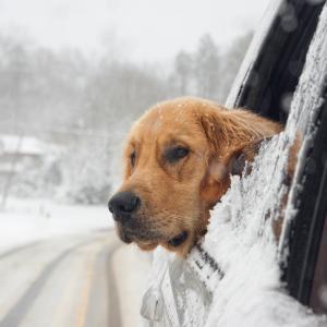 A Snow Day Ride