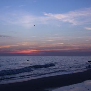End of the Day