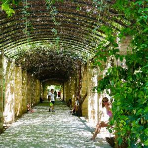 Majestic Gardens 
