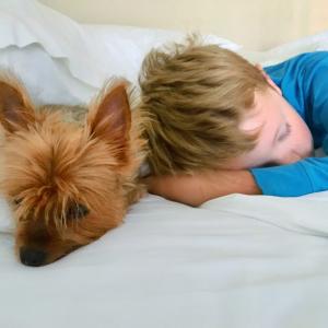 Nap time 