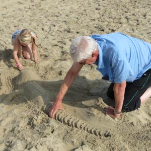 a crocodile of sand