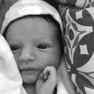 Simone Frances