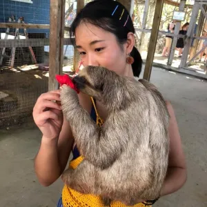 Slow friends