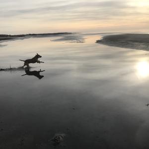 Christmas Day Beach Walk