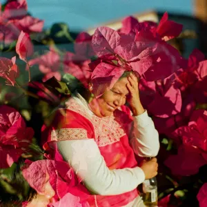 Flowers in the afternoon 