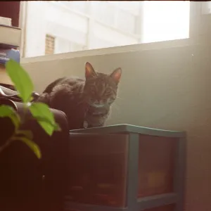 Salem