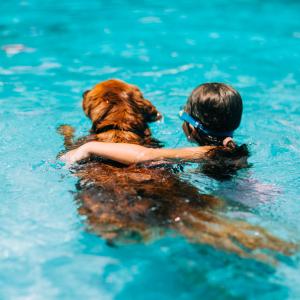 Charlie swimming 