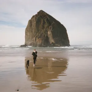 Haystack 