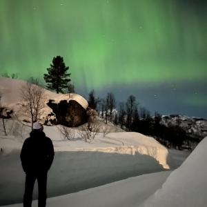 The northern lights in the mountain of Norway