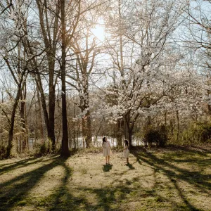 spring is here