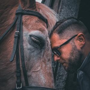 Relaxen mit dem Pferd