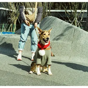 Pets 2/N
