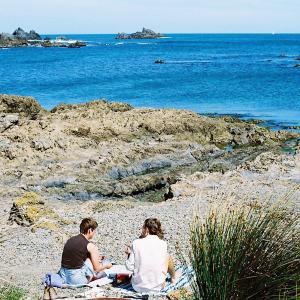 Picnic at the beach