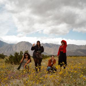 Desert Wildflowers