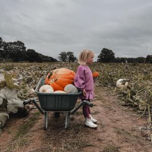 Just a girl and her pumpkins 🎃 