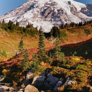 Sunrise at Rainier