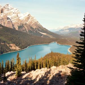 Mid-October at Peyto Lake