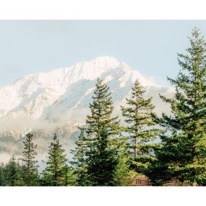 On a warm winter day in the Cascades