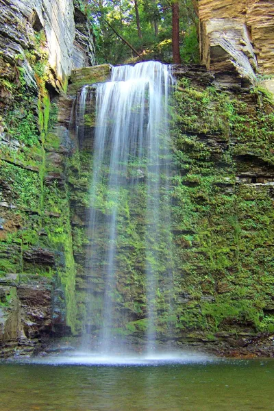 Nature's Hidden Treasure