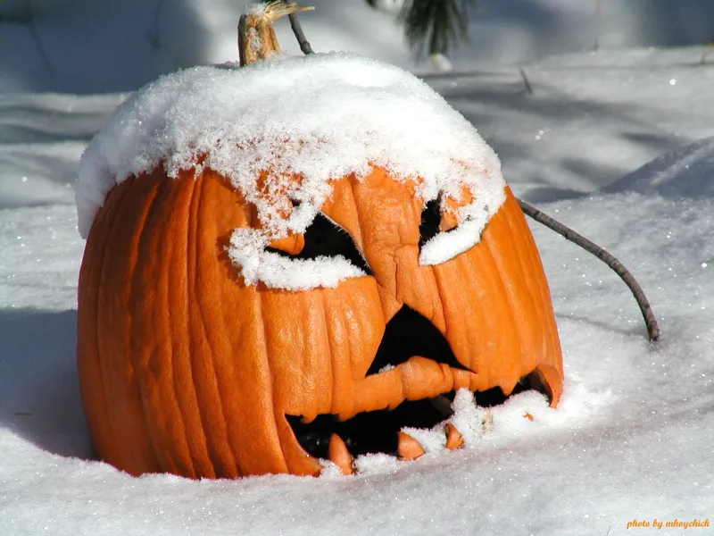 Snowy Pumpkin