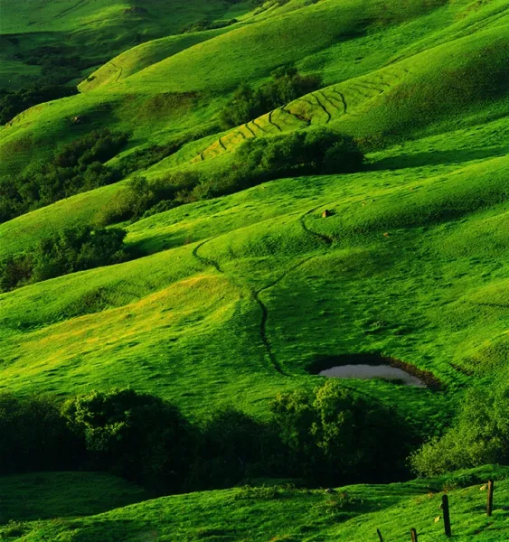 Old Coast Road Hills
