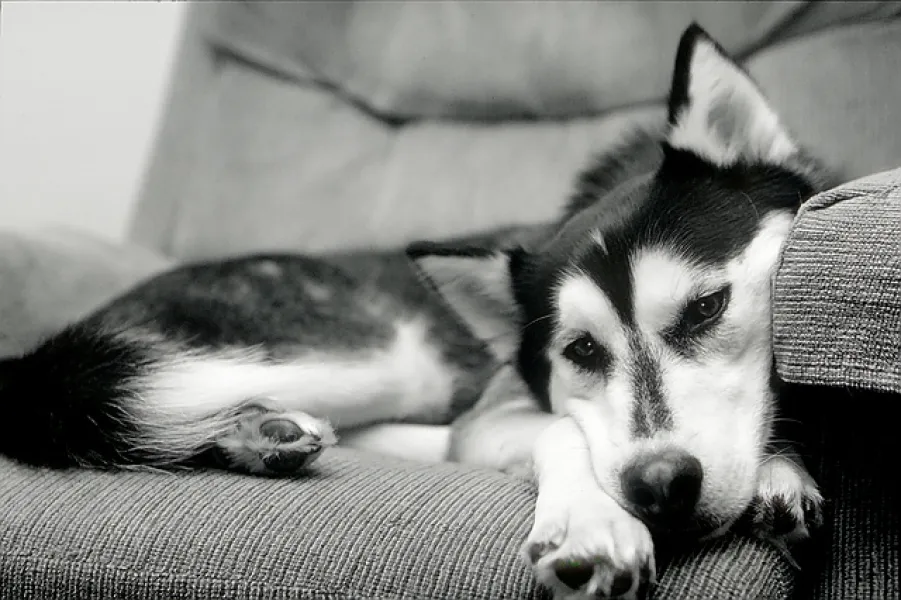 Please...Don't Move Me