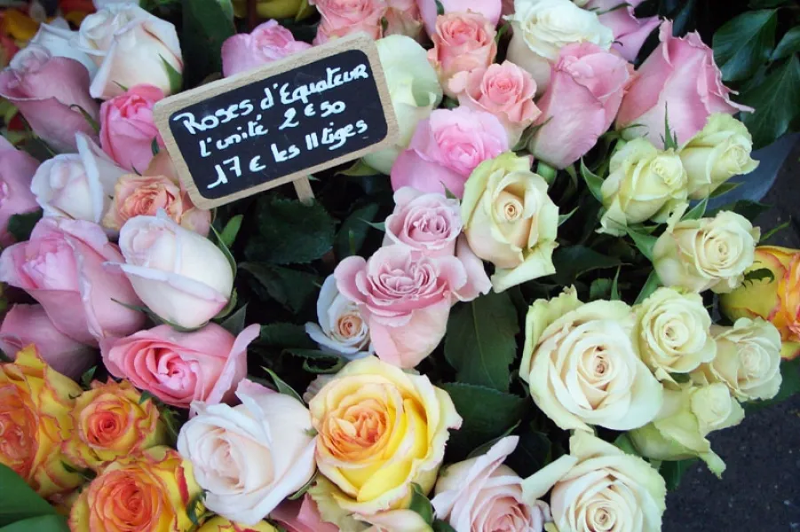 Fleurs dans Montmartre