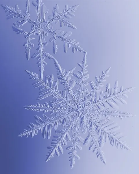 Synergistic Snowflakes