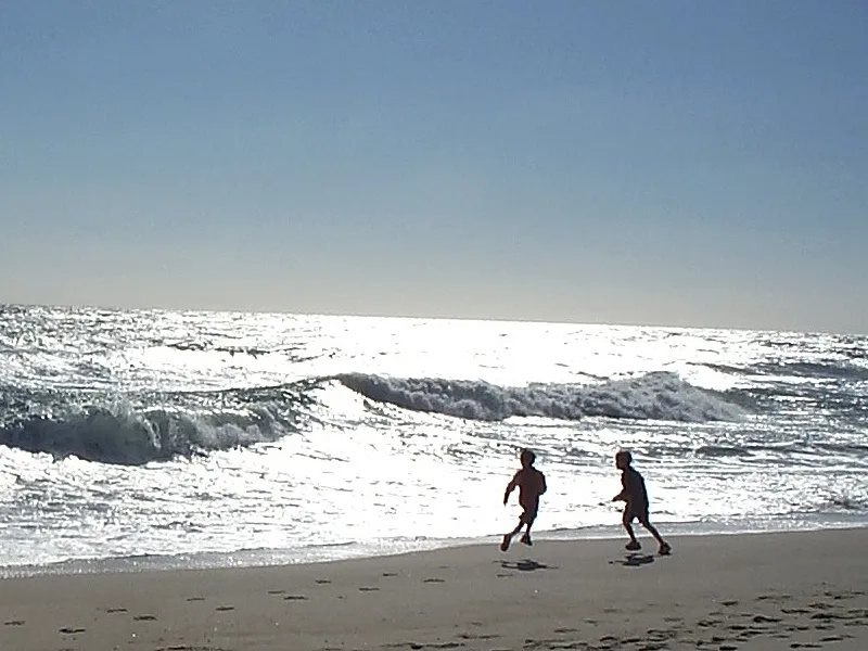 Silhouettes on the Sand