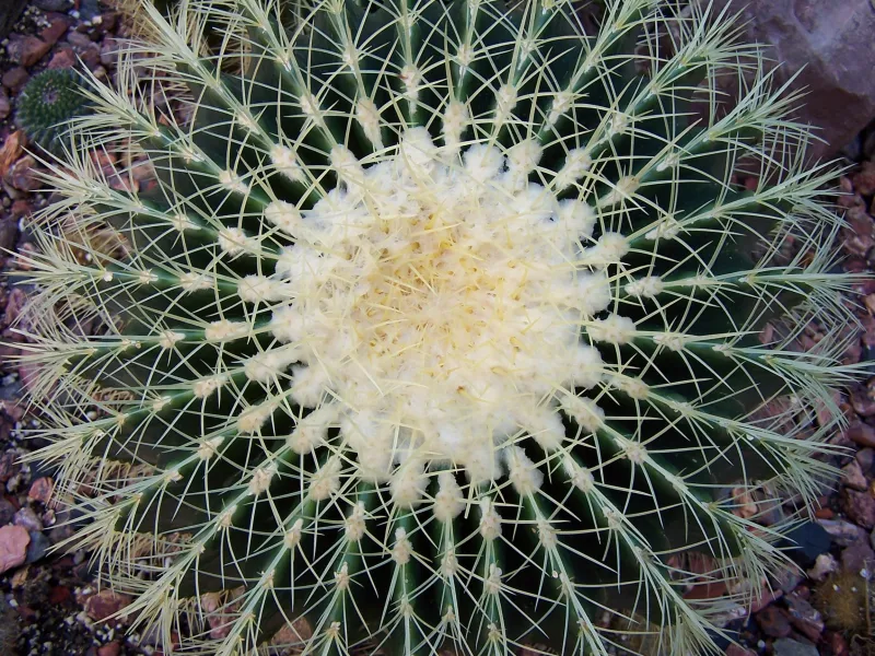 Symmetry