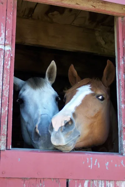 What's the Password?