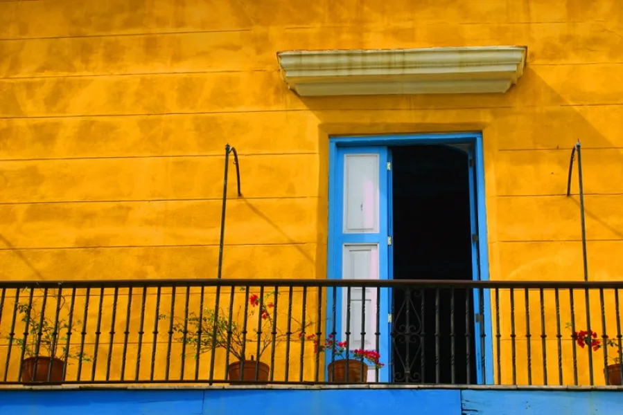 Armony Lines &amp; Color