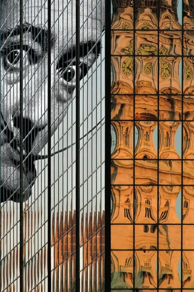 Surreal Reflections II